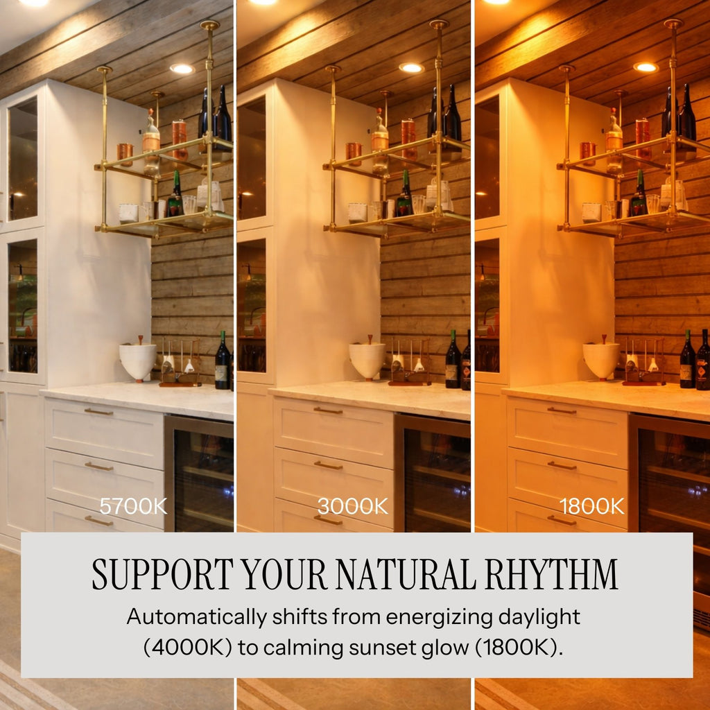 Circadian LED Light Bulb | PAR20, 6W, 5-CCT Tunable (1800K–5700K), Dimmable