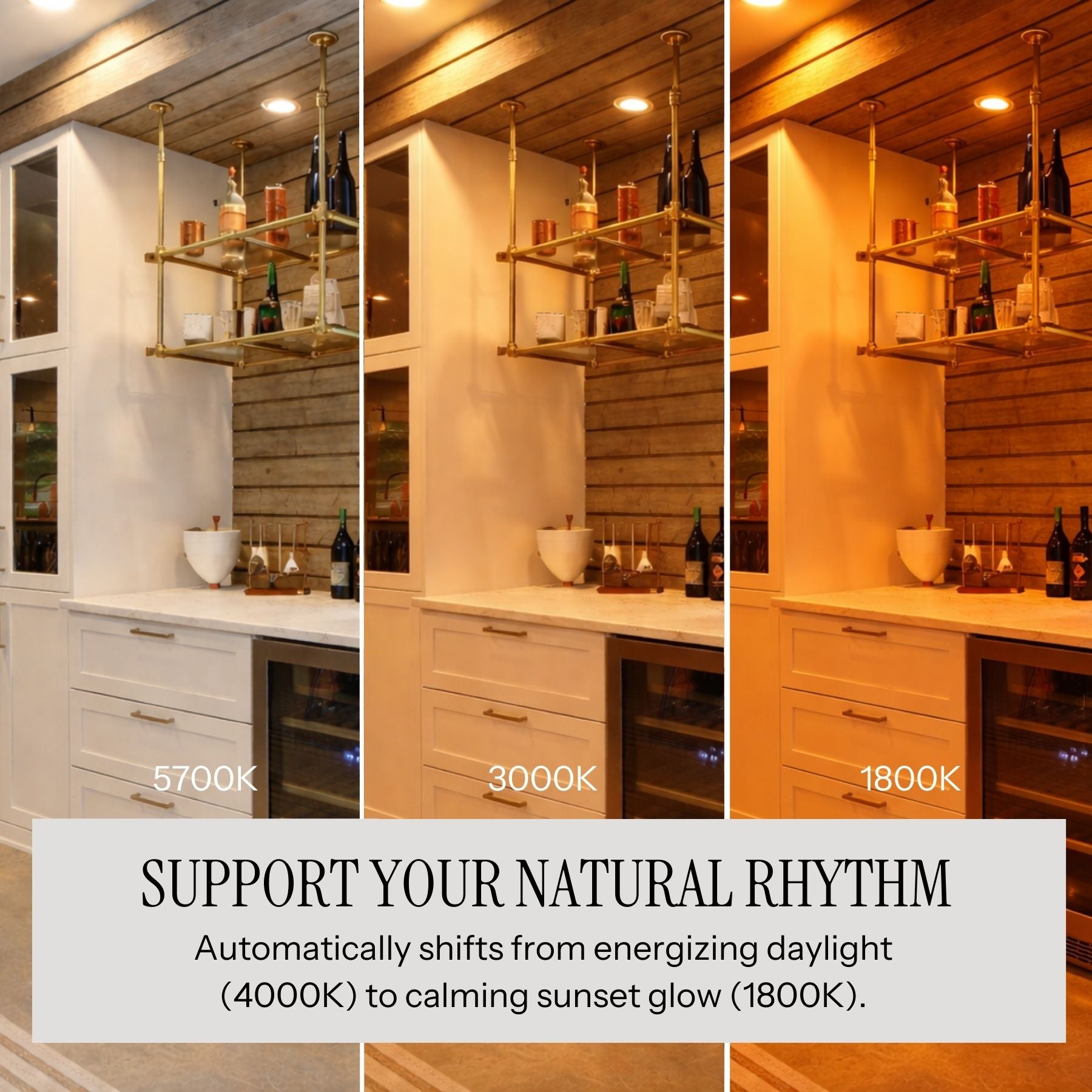 Circadian LED Light Bulb | PAR20, 6W, 5-CCT Tunable (1800K–5700K), Dimmable